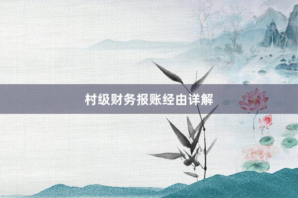 村级财务报账经由详解