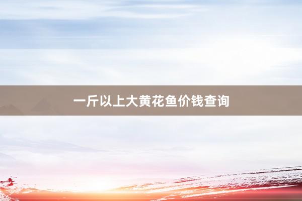 一斤以上大黄花鱼价钱查询